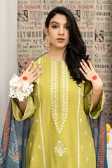 TOOR – Luxury Embroidered 3-Piece in DHANAK